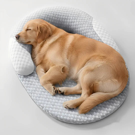 Pet Blanket
